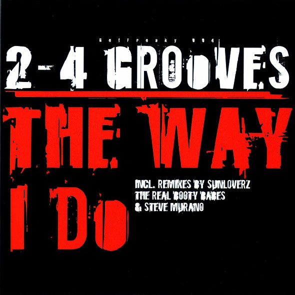 2-4 Grooves - The Way I Do (Special Radio Version) (2007)