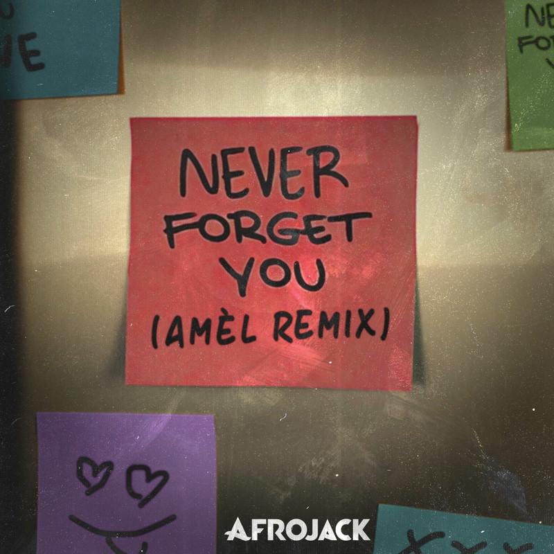 AFROJACK - Never Forget You (Amél Remix) (2025)