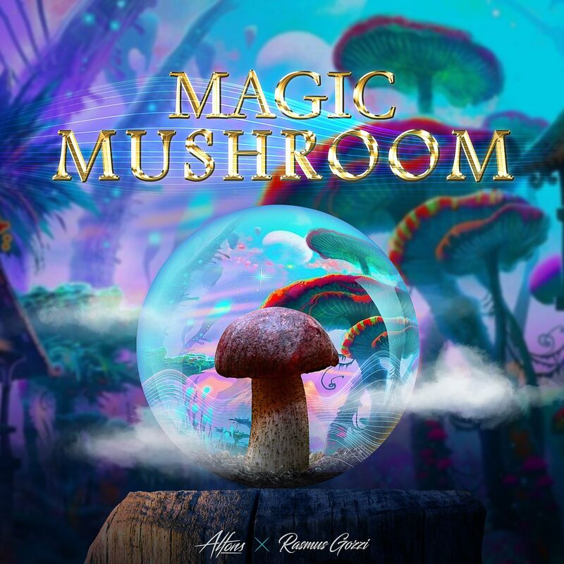 Alfons & Rasmus Gozzi - Magic Mushroom (2022)