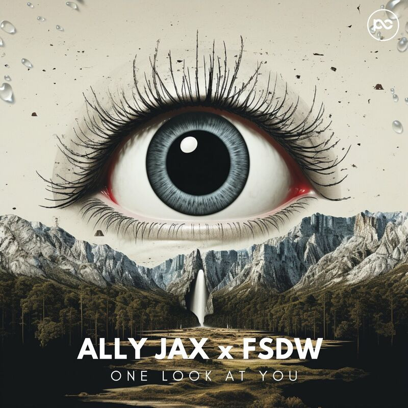 Ally Jax & Fsdw - One Look at You (2023)