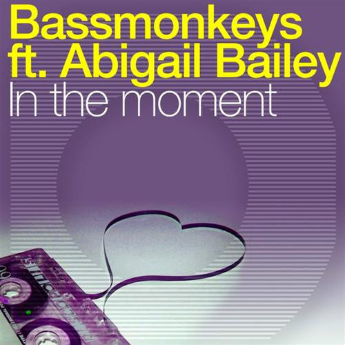 Bassmonkeys feat. Abigail Bailey - In the Moment (Radio Edit) (2010)