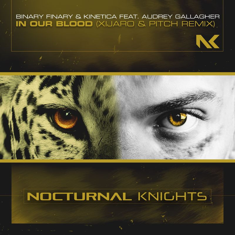 Binary Finary & Kinetica feat. Audrey Gallagher - In Our Blood (Xijaro & Pitch Remix) (2021)
