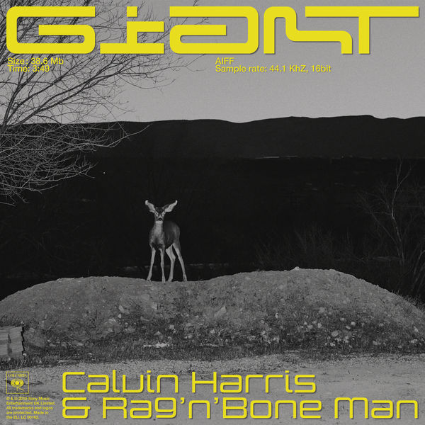 Calvin Harris & Rag'n'bone Man - Giant (2019)