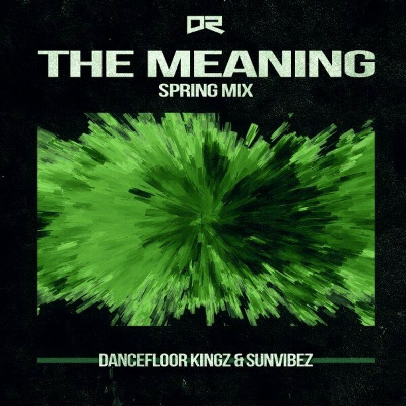 Dancefloor Kingz & Sunvibez - The Meaning (Spring Edit) (2023)