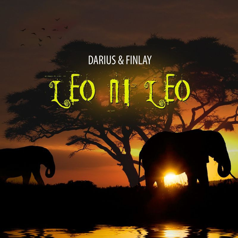Darius and Finlay - Leo Ni Leo (2020)