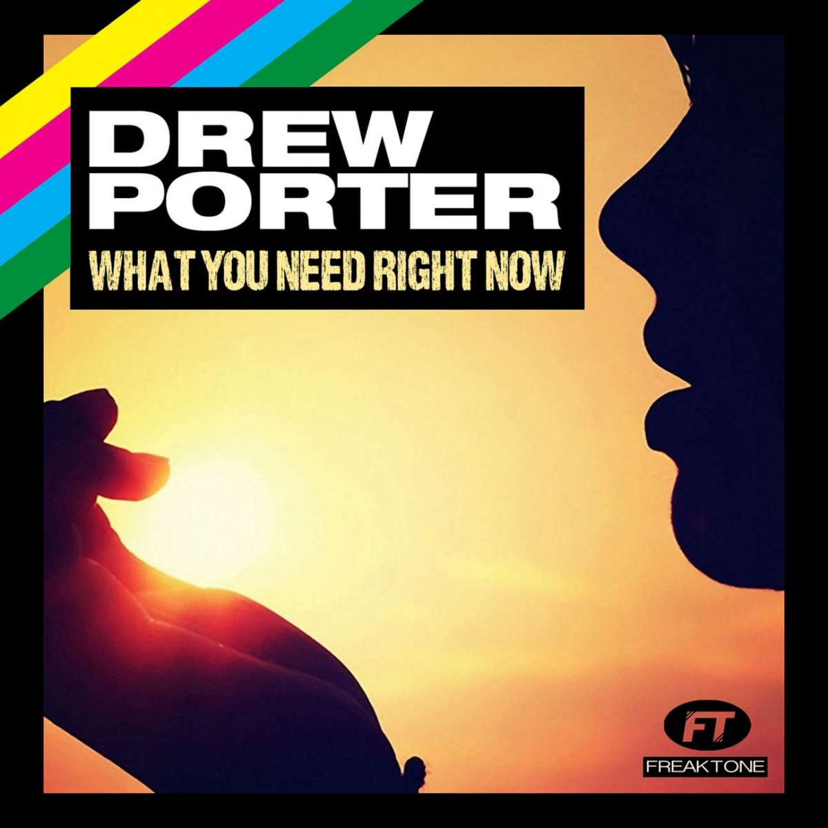Drew Porter - What You Need Right Now (Bassmonkeys Radio Edit) (2013)