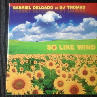 Gabriel Delgado vs. DJ Thomas - So Like Wind (Ener.G & Andrew Bakun Remix Radio Edit) (2009)