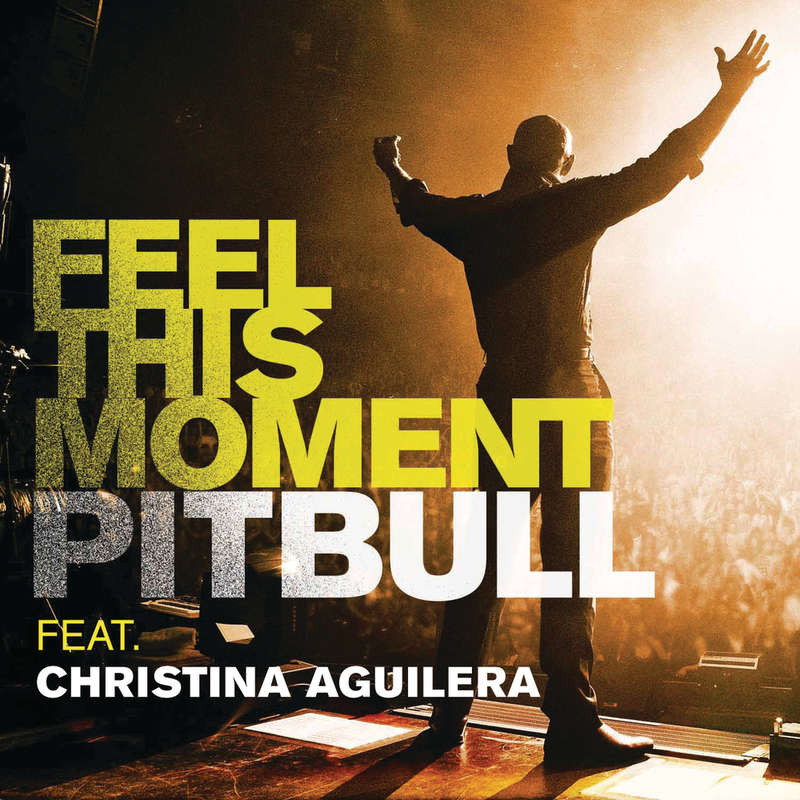 Pitbull Featuring Christina Aguilera - Feel This Moment (2013)
