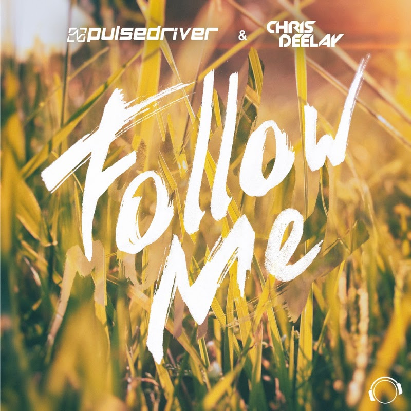 Pulsedriver & Chris Deelay - Follow Me (Single Mix) (2016)