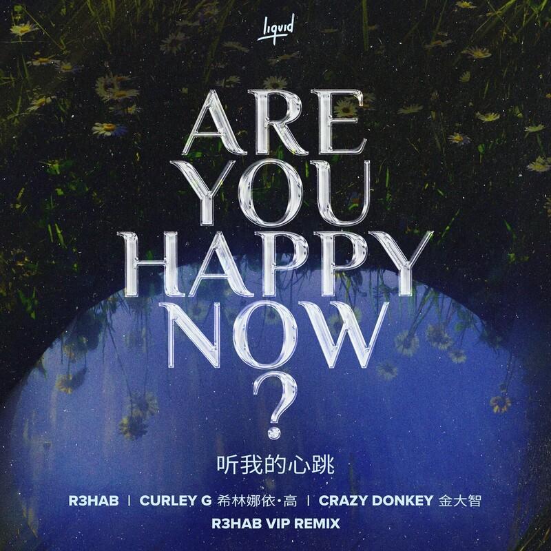 R3HAB & Crazy Donkey - Are You Happy Now (R3HAB VIP Remix) (2024)