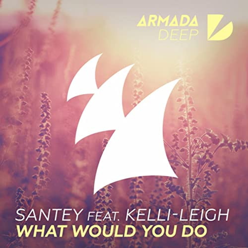 Santey feat. Kelli-Leigh - What Would You Do (2016)