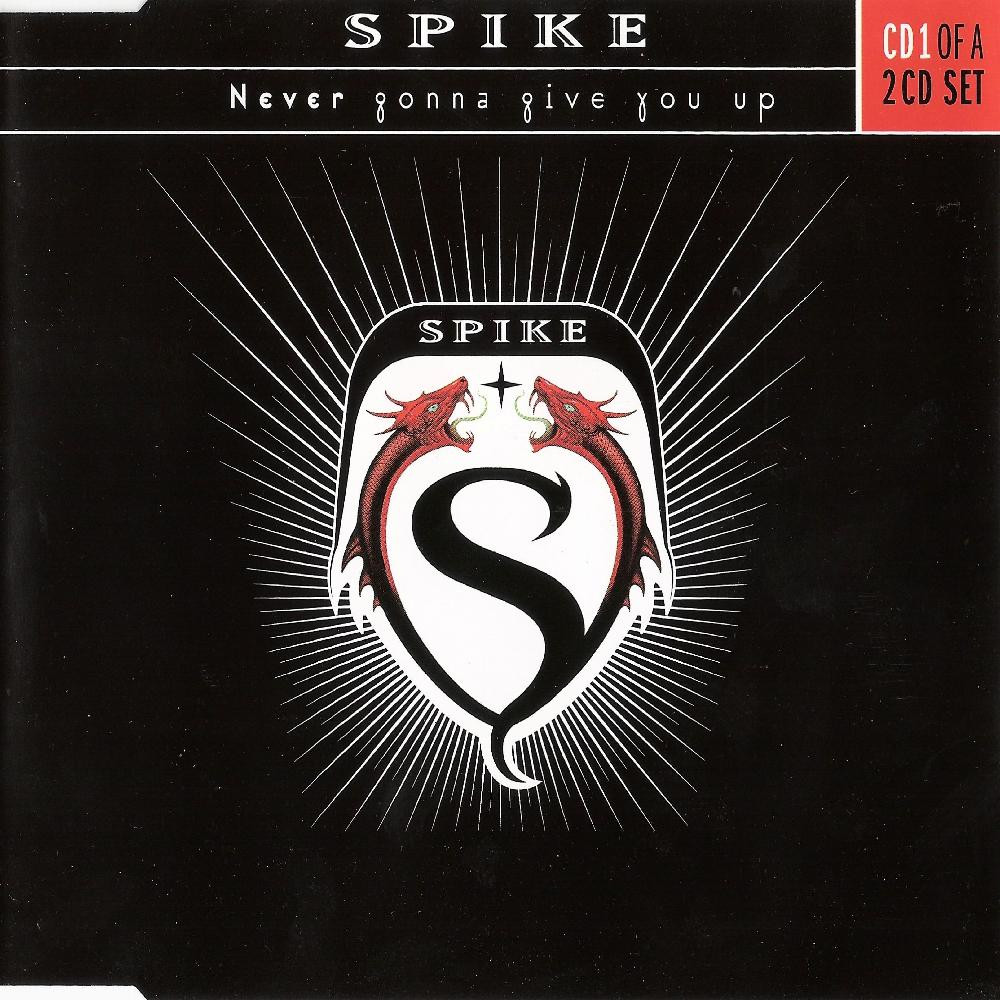 Spike - Never Gonna Give You Up (Radio Mix) (2000)