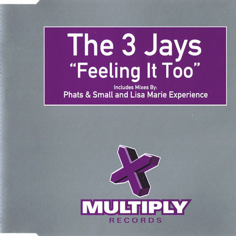 The 3 Jays - Feeling It Too (Blunt Radio Edit) (1999)
