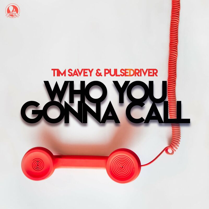 Tim Savey & Pulsedriver - Who You Gonna Call (2022)