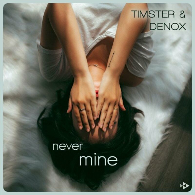 Timster & Denox - Never Mine (2022)