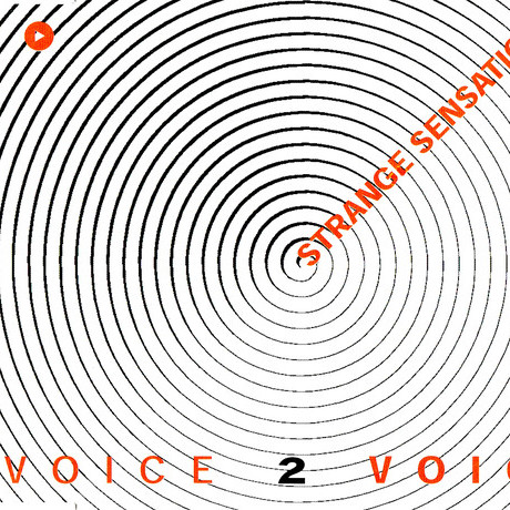 Voice 2 Voice - Strange Sensation (M.T.J. Road-Roller Extended) (2002)
