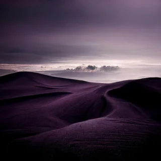Violet Light