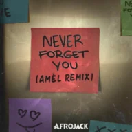 Never Forget You (Amél Remix) (2025)