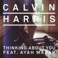Thinking About You (2013)