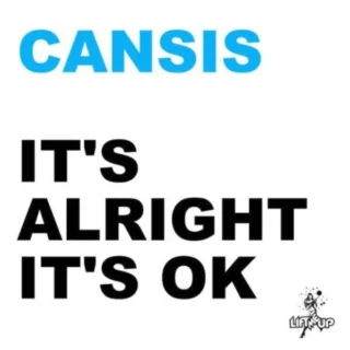 It's Alright It's OK (Radio Edit) (2009)