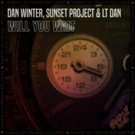 Will You Wait (2025)