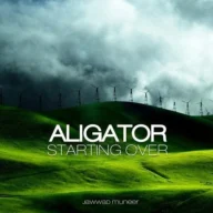 Starting Over (Original Edit) (2011)
