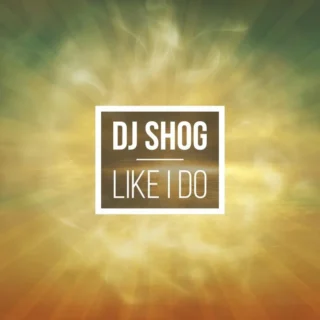 Like I Do (Radio Edit) (2017)