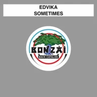 Sometimes (Fire & Ice Radio Edit) (2017)