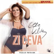 Nu Te Mai Caut (2011)