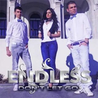 Don't Let Go (2011)