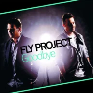 Goodbye (Radio Edit) (2011)