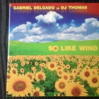 So Like Wind (Ener.G & Andrew Bakun Remix Radio Edit) (2009)
