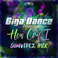 How Can I (Sunvibez Mix) (2023)