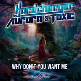 Why Don't You Want Me (2025)
