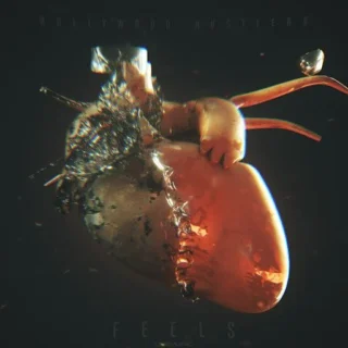 Feels (Raindropz! Remix Edit) (2017)