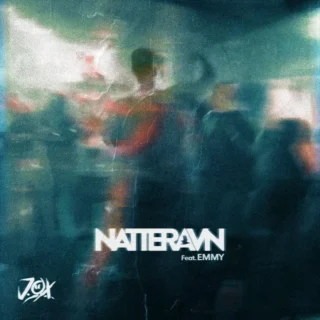 Natteravn (2025)