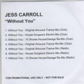 Without You (10 Shores House/Garage Re-Mix) (Club) (2008)