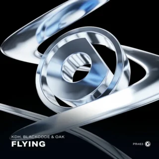 Flying (2025)