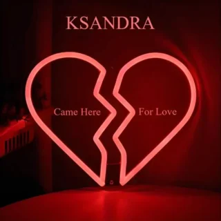 Came Here for Love (Original Mix) (2025)