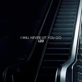 I Will Never Let You Go (Radio Edit) (2016)