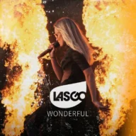 Wonderful (2025)