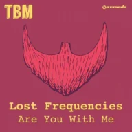 Are You with Me (Dimaro Radio Edit) (2014)
