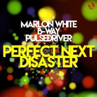 Perfect Next Disaster (2021)