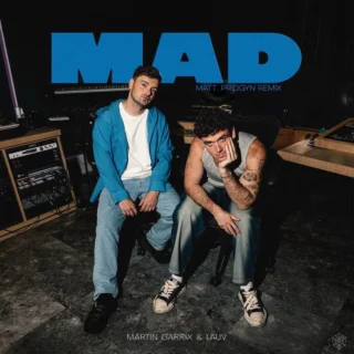 MAD (Matt Pridgyn Remix) (2025)