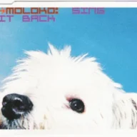 Sing It Back (Boris Musical Mix Edit) (1998)