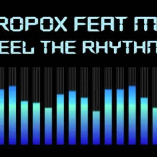 Feel the Rhythm (2011)