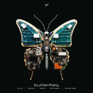 Butterflies (2025)