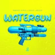 Watergun