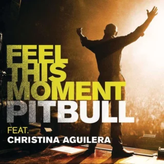 Feel This Moment (2013)