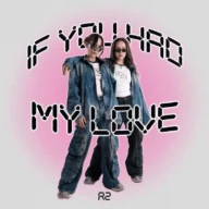 If You Had My Love (2026)